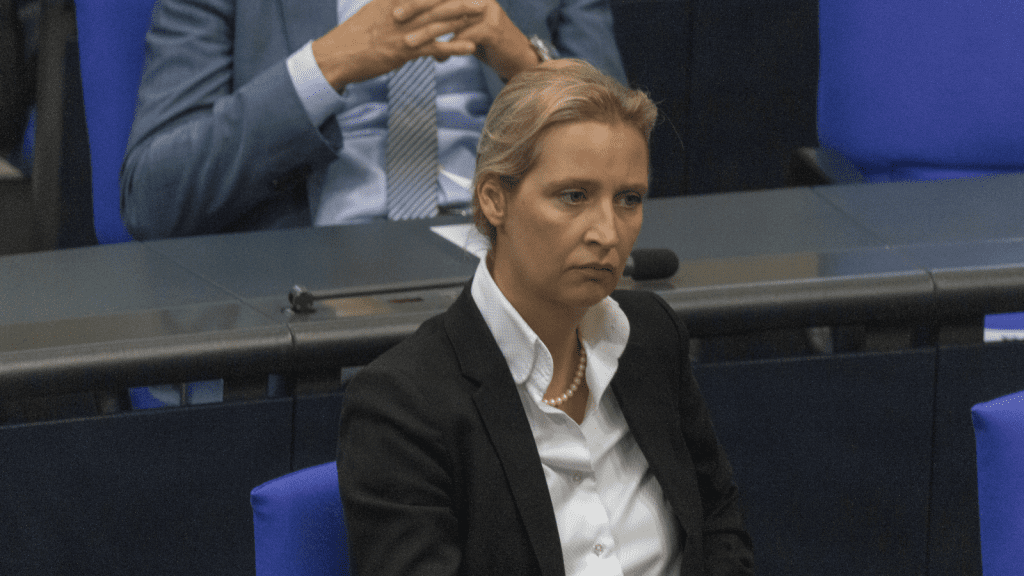 Das aktuelle Bild hat keinen Alternativtext. Der Dateiname ist: Weidel.png